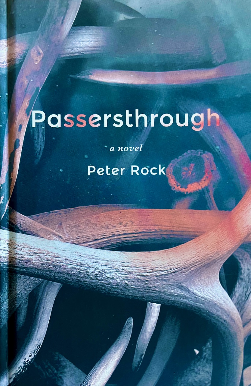 Book Review: Exploring the Unknowable in Peter Rock’s PASSERSTHROUGH